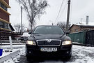 Skoda Octavia A5 Ambient