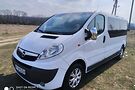 Opel Vivaro пасс. ORIGINAL PASS
