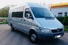 Mercedes-Benz Sprinter 313 груз.-пасс.