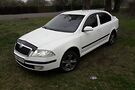 Skoda Octavia A5 samalet