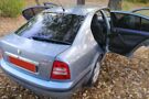 Skoda Octavia Tour