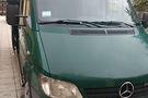 Mercedes-Benz Sprinter 313 груз.-пасс.