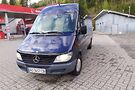 Mercedes-Benz Sprinter 313 груз.-пасс.